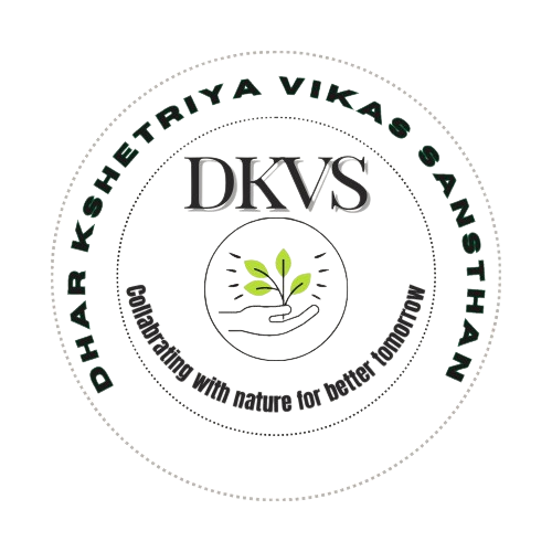 DKVS Logo PNG