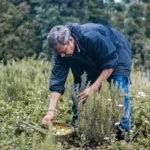 VID.00_03_58_08.Still002 (1)