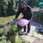 WhatsApp Image 2022-06-24 at 6.19.21 PM