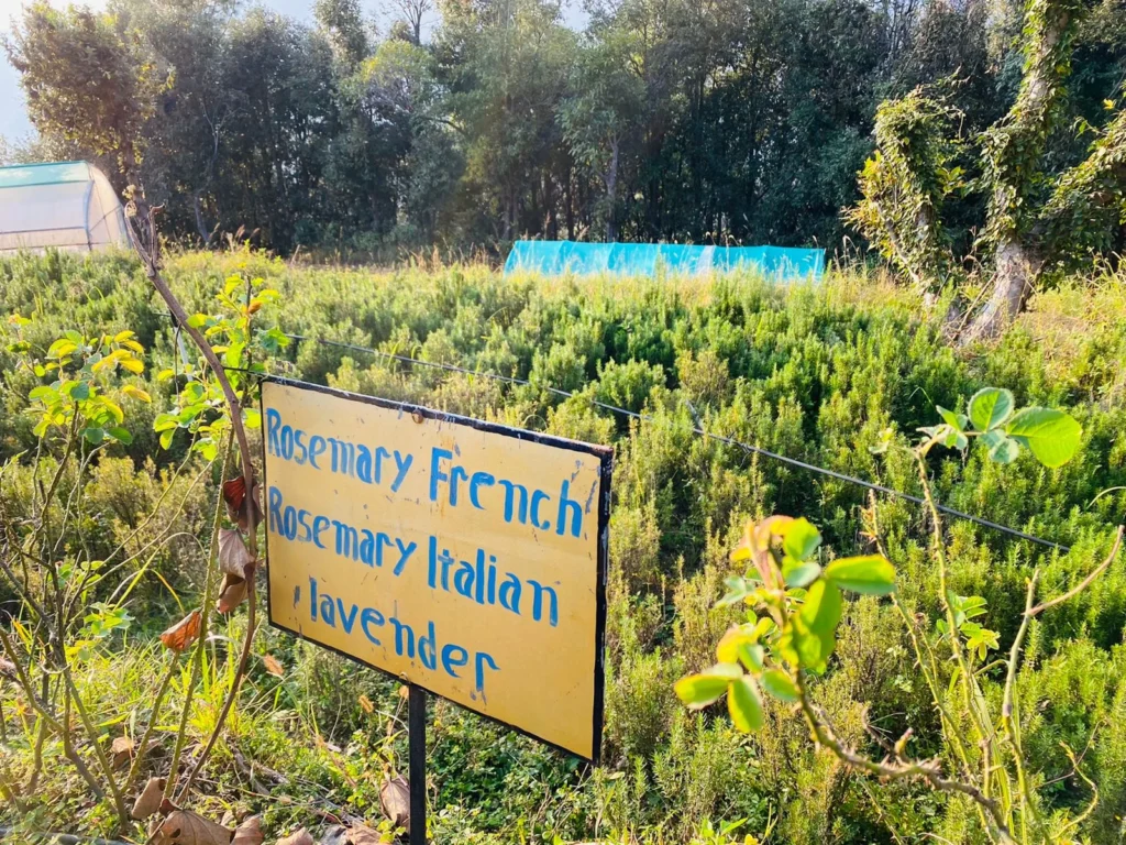 Building the Next Generation of Rural Leaders