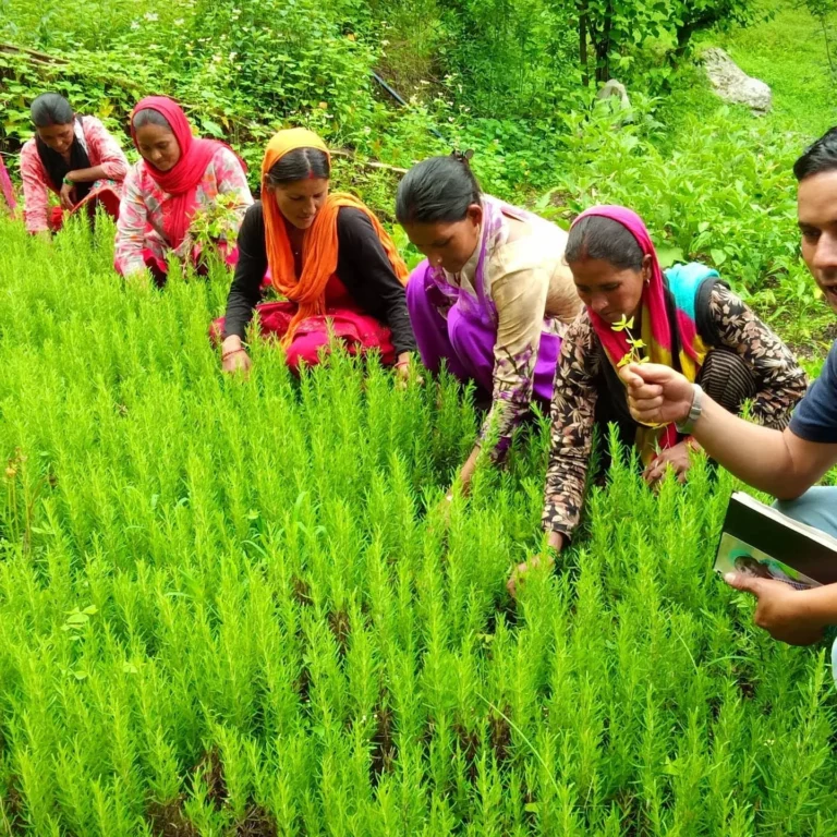 Economic Justice and Inclusive Growth: Building Equitable Rural Futures