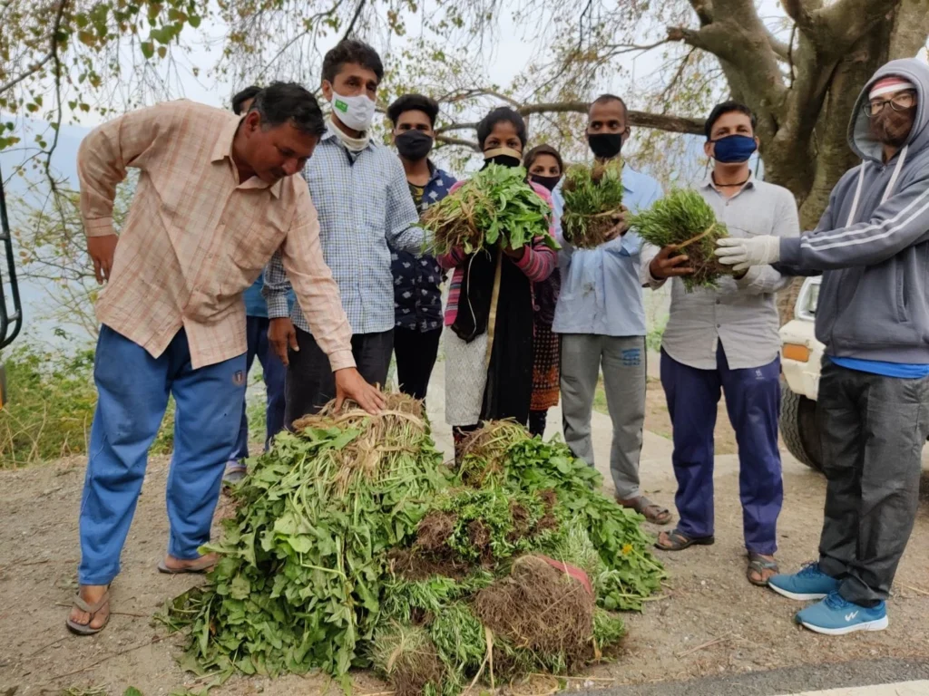 Economic Justice and Inclusive Growth: Building Equitable Rural Futures