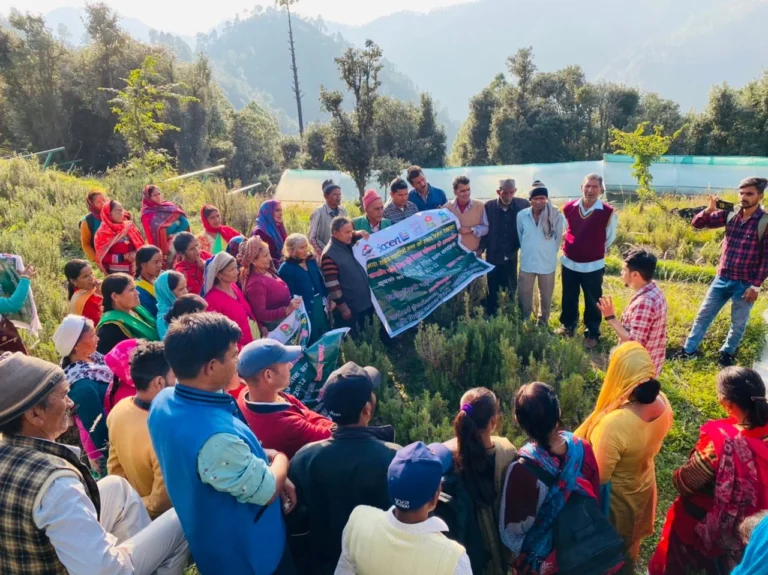 Ajaypal Singh Panwar: Leading the Aroma Revolution in Uttarakhand