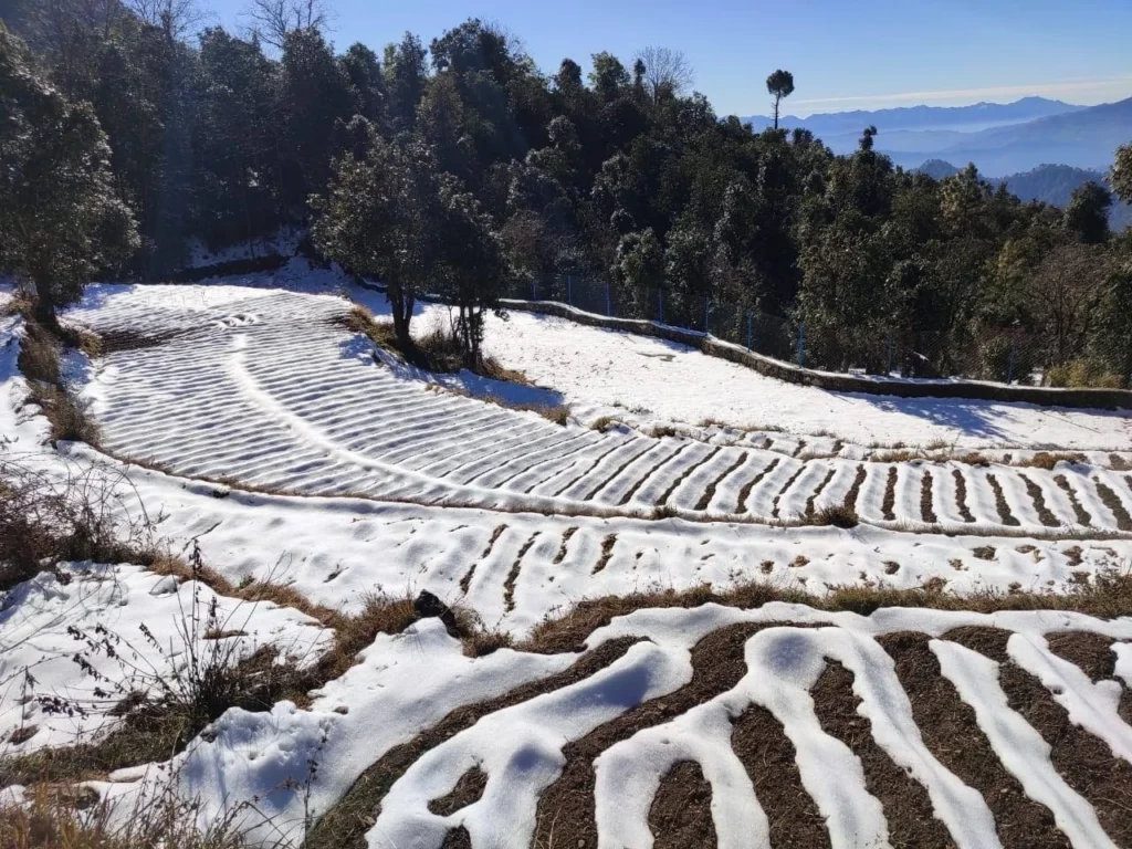 Sustainable Agriculture for Mountain Farmers