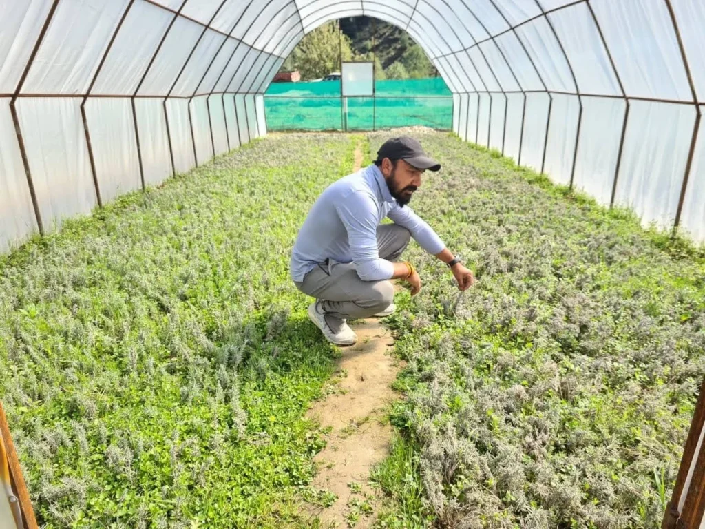 Ajaypal Singh Panwar: Leading the Aroma Revolution in Uttarakhand, empowering 8,500+ farmers through medicinal and aromatic farming initiatives.