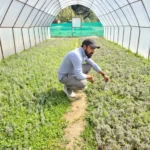 Ajaypal Singh Panwar: Leading the Aroma Revolution in Uttarakhand, empowering 8,500+ farmers through medicinal and aromatic farming initiatives.